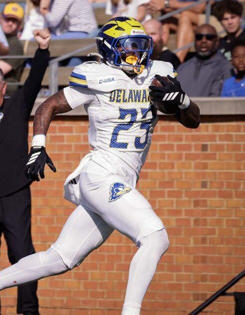 jpeg-optimizer_del week 13